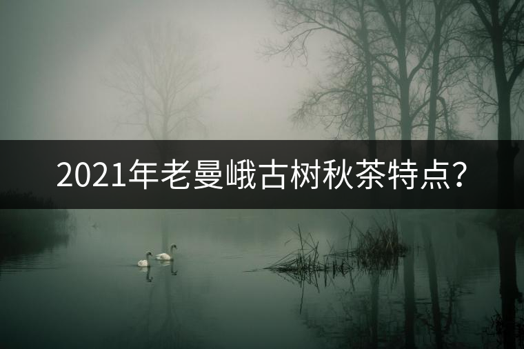 2021年老曼峨古樹秋茶特點(diǎn)？
