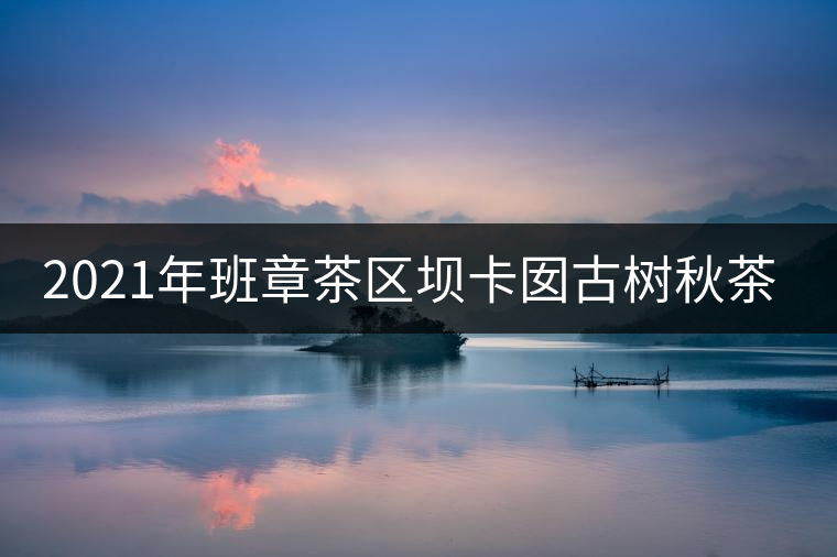 2021年班章茶區(qū)壩卡囡古樹秋茶口感？