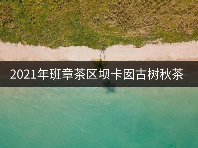 2021年班章茶區(qū)壩卡囡古樹秋茶多少錢一公斤？