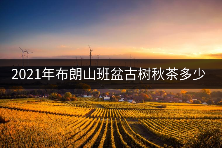 2021年布朗山班盆古樹秋茶多少錢一公斤？