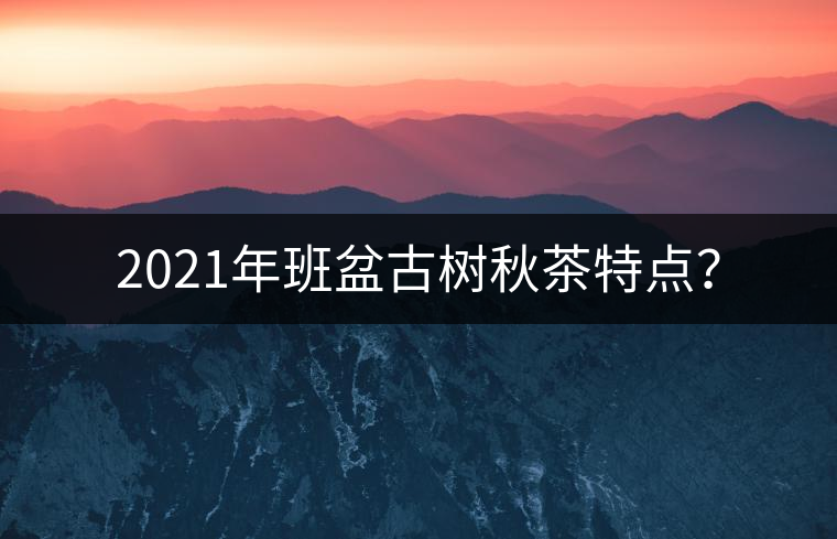 2021年班盆古樹秋茶特點(diǎn)？