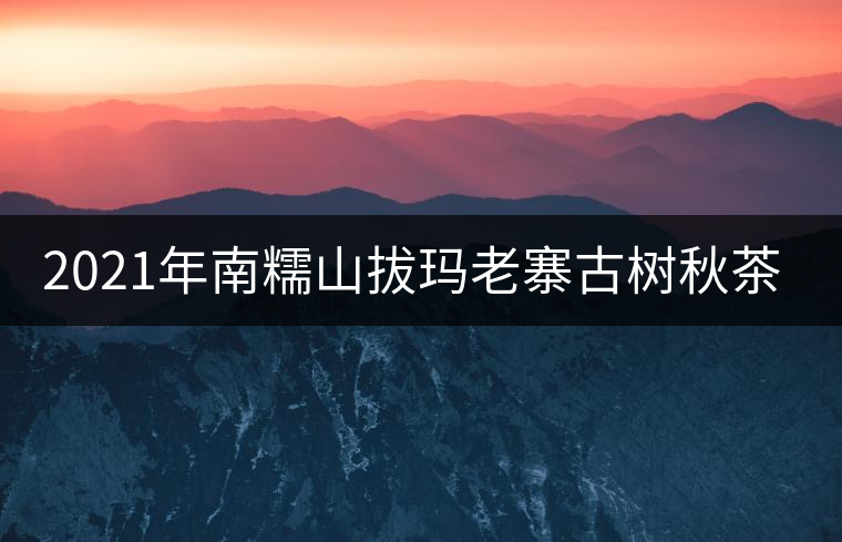 2021年南糯山拔瑪老寨古樹秋茶價格？