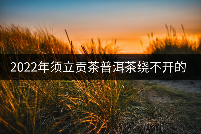 2022年須立貢茶普洱茶繞不開的古茶山！