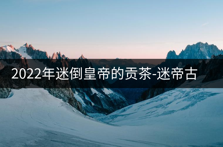 2022年迷倒皇帝的貢茶-迷帝古樹春茶特點(diǎn)？
