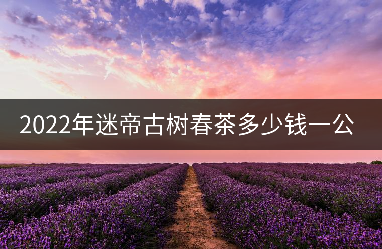 2022年迷帝古樹春茶多少錢一公斤？