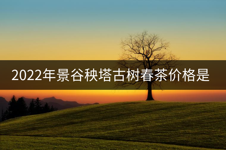 2022年景谷秧塔古樹(shù)春茶價(jià)格是多少？