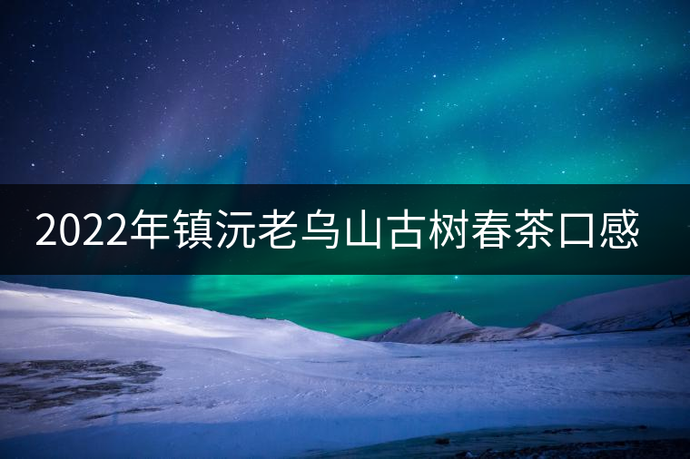 2022年鎮(zhèn)沅老烏山古樹春茶口感？