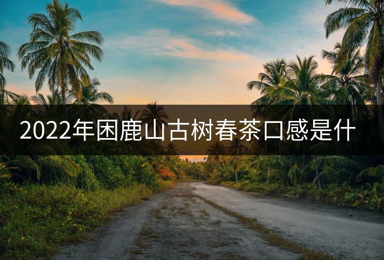 2022年困鹿山古樹春茶口感是什么？