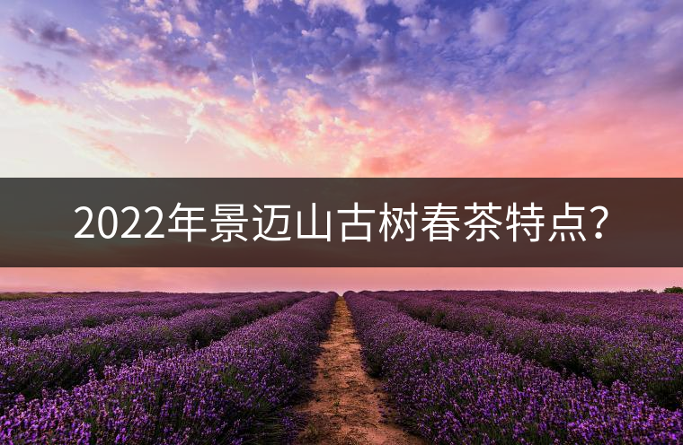 2022年景邁山古樹春茶特點(diǎn)？