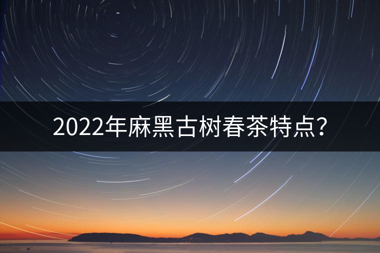 2022年麻黑古樹春茶特點(diǎn)？