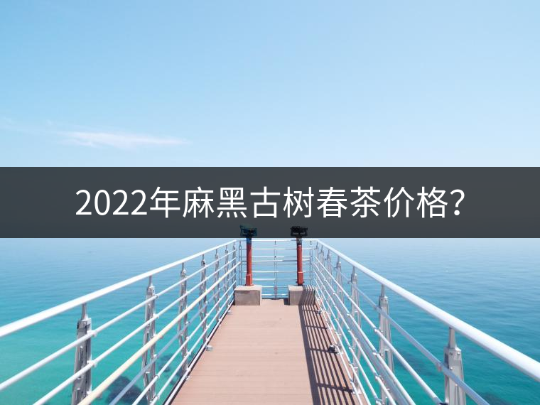 2022年麻黑古樹春茶價格？