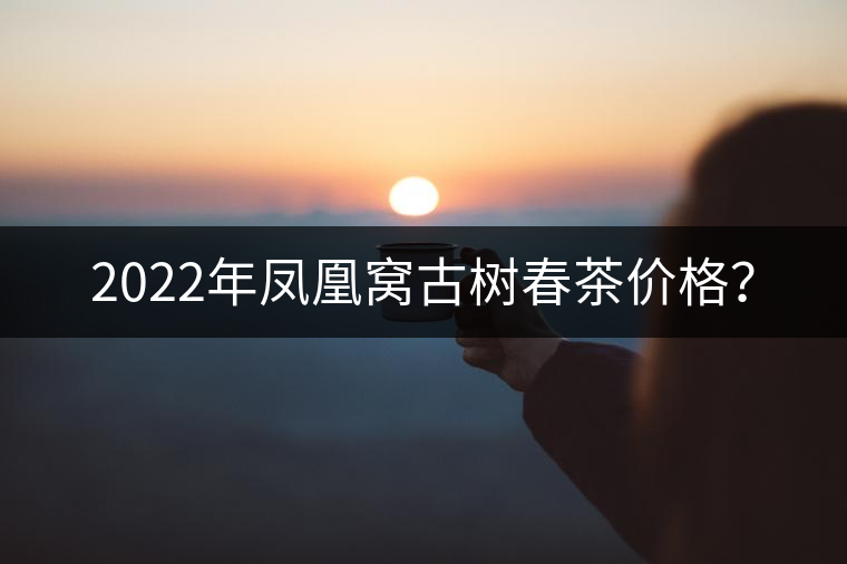 2022年鳳凰窩古樹(shù)春茶價(jià)格？