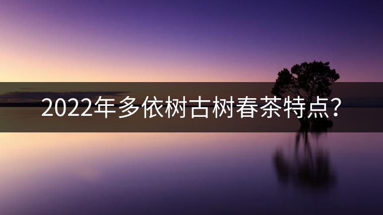 2022年多依樹古樹春茶特點(diǎn)？