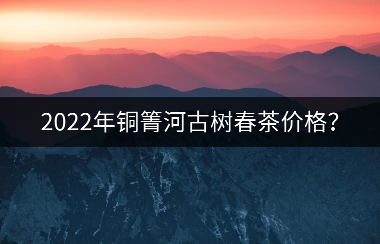 2022年銅箐河古樹春茶價格？