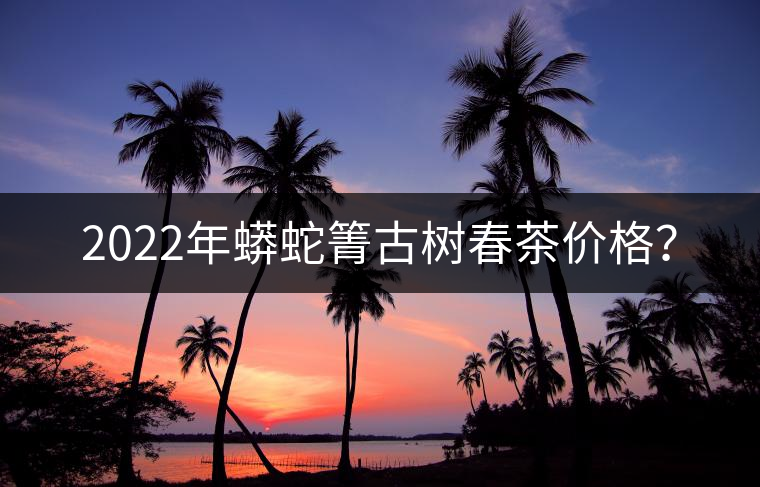 2022年蟒蛇箐古樹春茶價格？