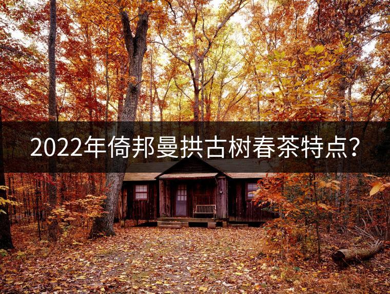 2022年倚邦曼拱古樹春茶特點(diǎn)？