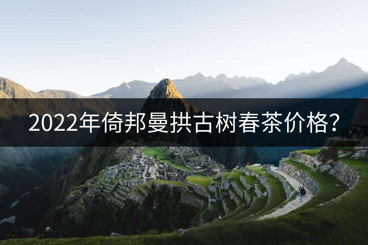 2022年倚邦曼拱古樹春茶價(jià)格？