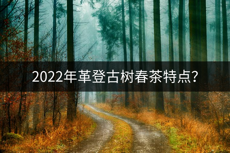 2022年革登古樹春茶特點？