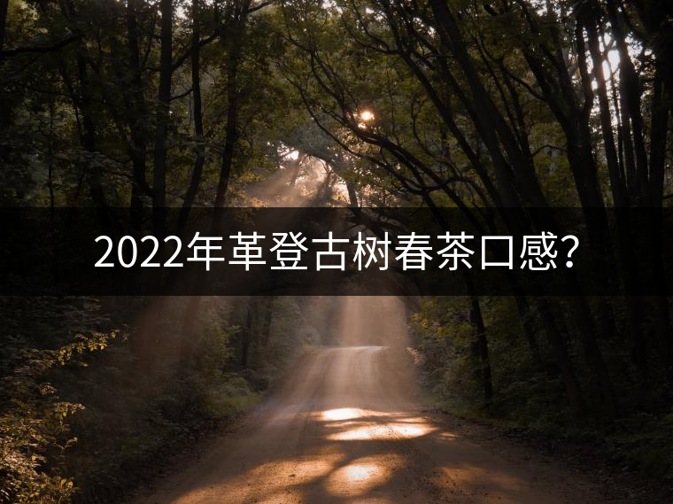 2022年革登古樹春茶口感？