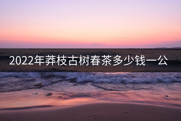 2022年莽枝古樹春茶多少錢一公斤？