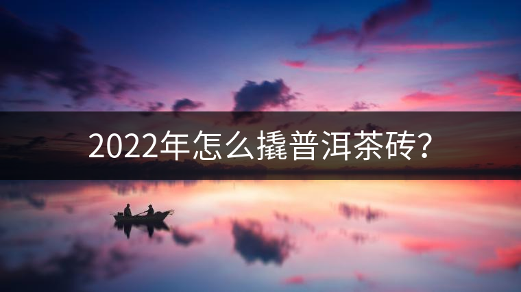 2022年怎么撬普洱茶磚？