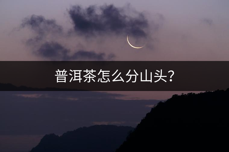 普洱茶怎么分山頭？