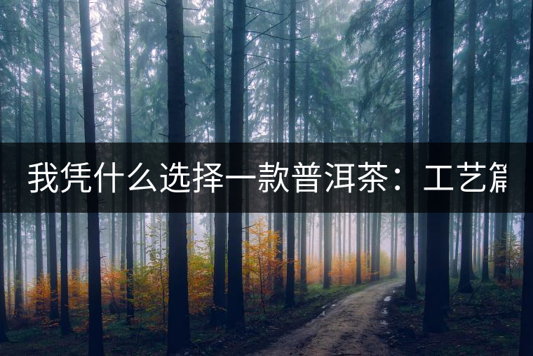 我憑什么選擇一款普洱茶：工藝篇？