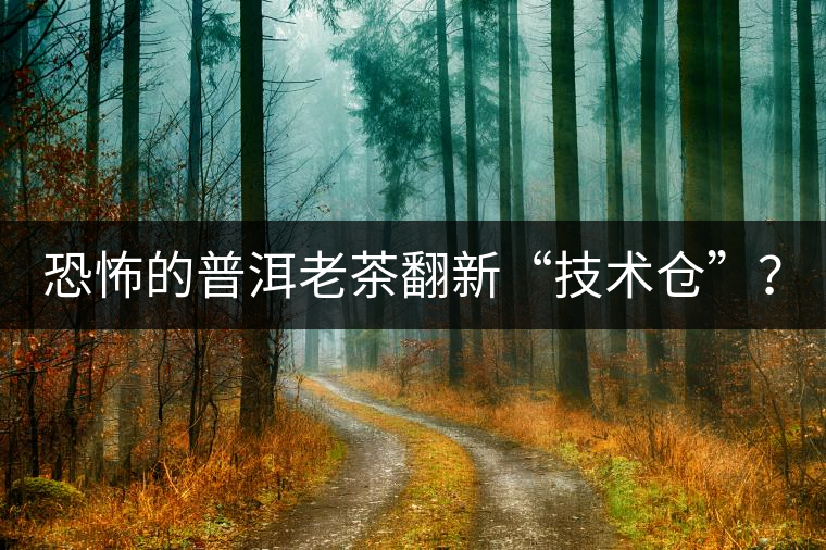 恐怖的普洱老茶翻新“技術倉”？