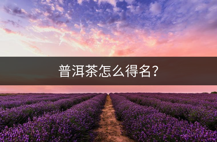 普洱茶怎么得名？