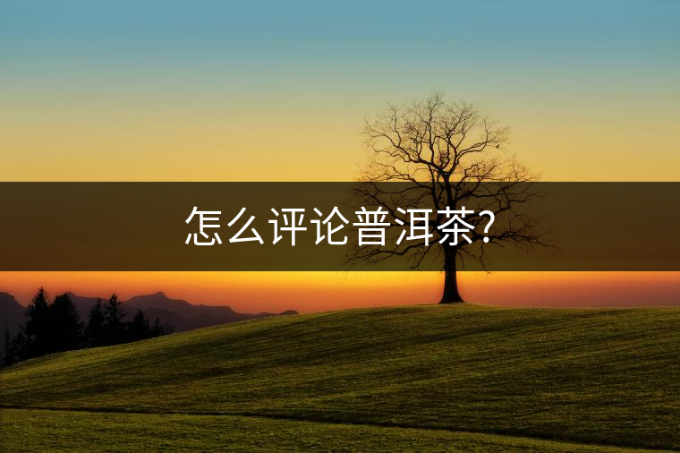 怎么評(píng)論普洱茶? 怎么評(píng)論普洱茶?