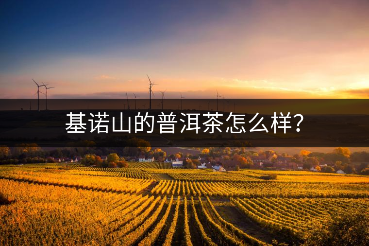 基諾山的普洱茶怎么樣？