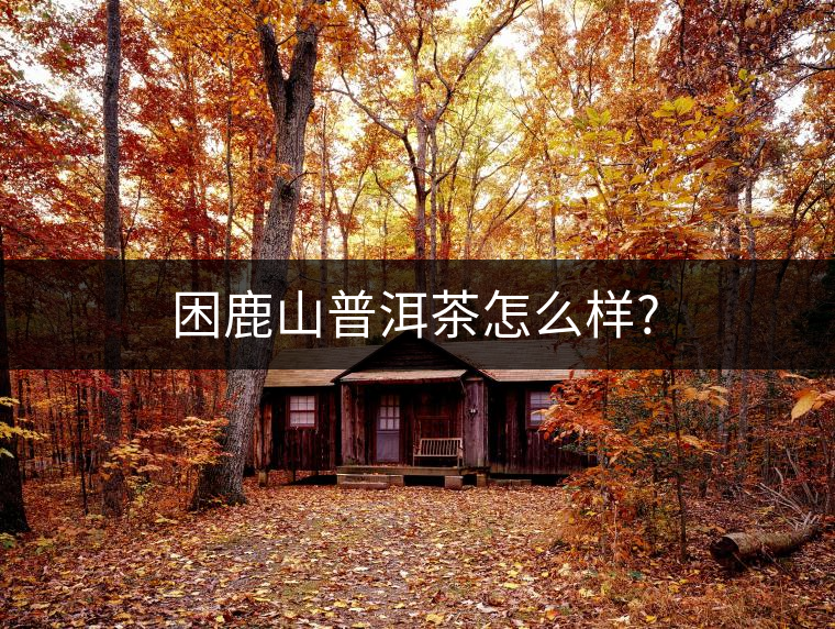 困鹿山普洱茶怎么樣?