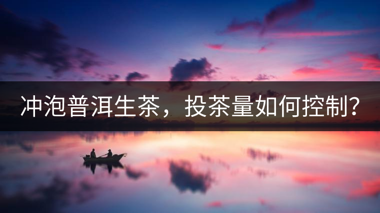 沖泡普洱生茶，投茶量如何控制？