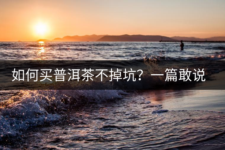 如何買普洱茶不掉坑？一篇敢說真話的良心之作。