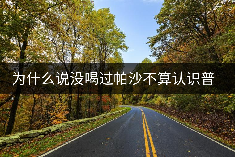 為什么說沒喝過帕沙不算認識普洱茶？