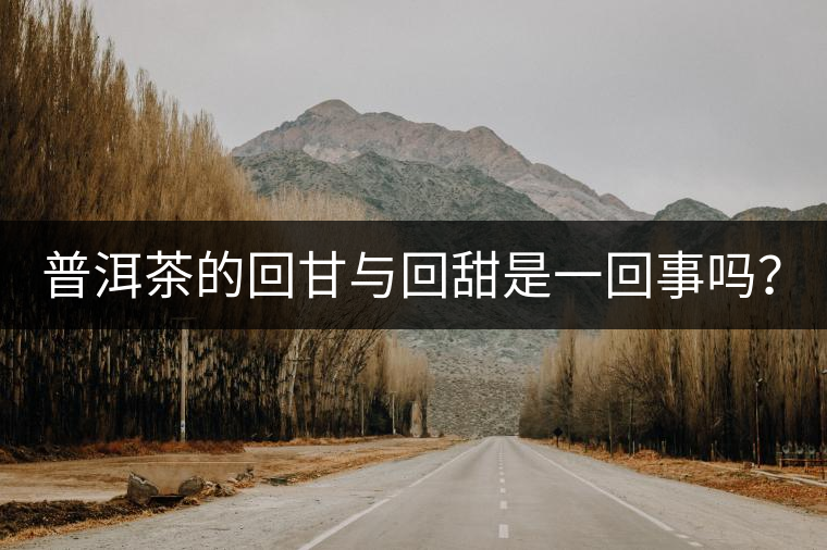 普洱茶的回甘與回甜是一回事嗎？？