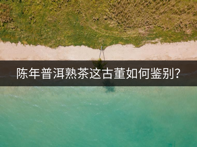 陳年普洱熟茶這古董如何鑒別？