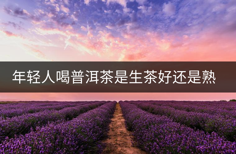 年輕人喝普洱茶是生茶好還是熟茶好？該怎么選擇？