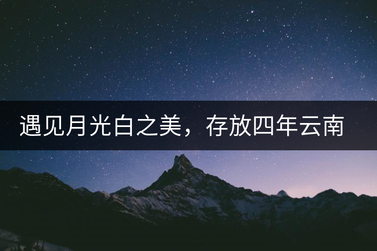 遇見(jiàn)月光白之美，存放四年云南古樹(shù)白茶