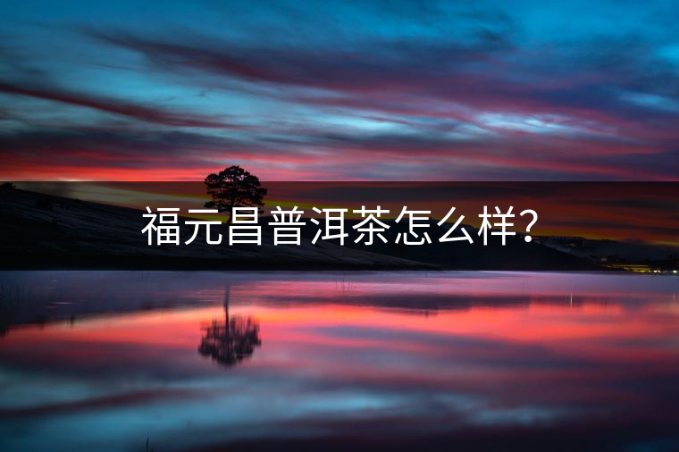 福元昌普洱茶怎么樣？