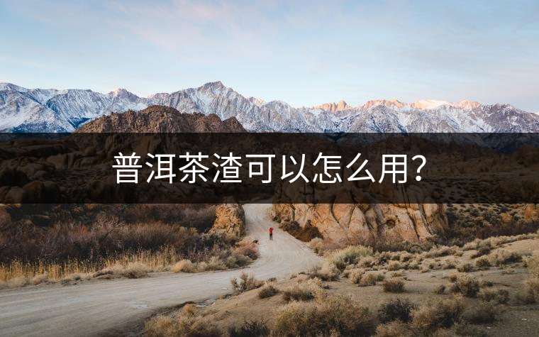 普洱茶渣可以怎么用？