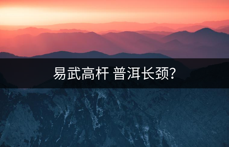 易武高桿 普洱長頸？