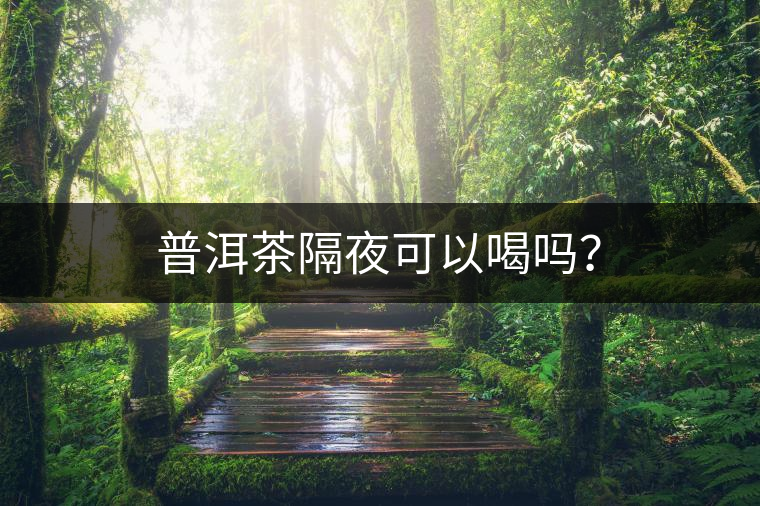 普洱茶隔夜可以喝嗎？