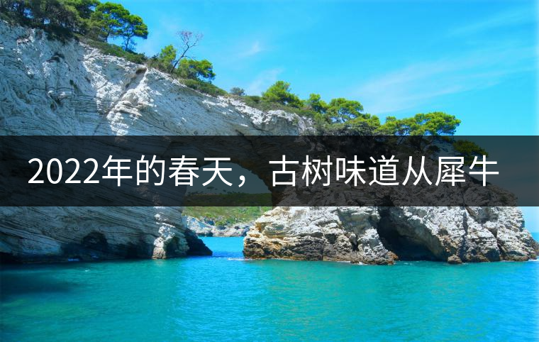 2022年的春天，古樹(shù)味道從犀牛塘開(kāi)始！