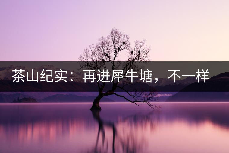 茶山紀(jì)實(shí)：再進(jìn)犀牛塘，不一樣的感覺(jué)；菁瑤可以預(yù)見(jiàn)的豐收年