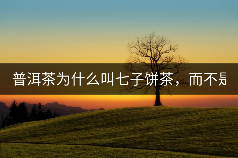 普洱茶為什么叫七子餅茶，而不是六子餅、八子餅......？