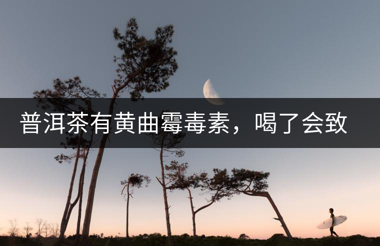 普洱茶有黃曲霉毒素，喝了會(huì)致癌？不黑不吹，咱用事實(shí)說話