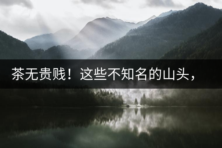 茶無貴賤！這些不知名的山頭，其實也產(chǎn)優(yōu)質(zhì)普洱茶！