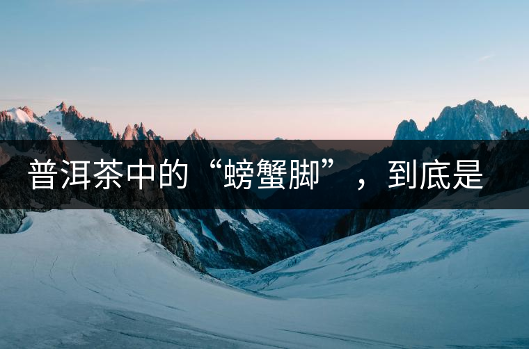 普洱茶中的“螃蟹腳”，到底是什么？如何辨別？
