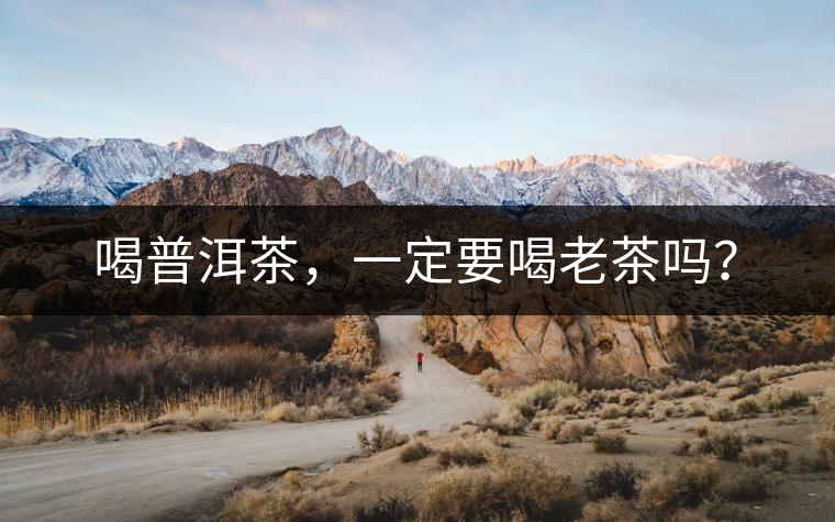喝普洱茶，一定要喝老茶嗎？
